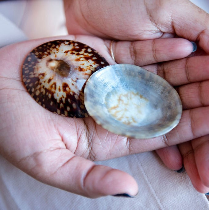 How to use Breastfeeding Seashells