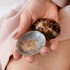 Hand holding pair of Shellies Breastfeeding Seashells Mother of pearl lining comforts sensitive nursing nipples